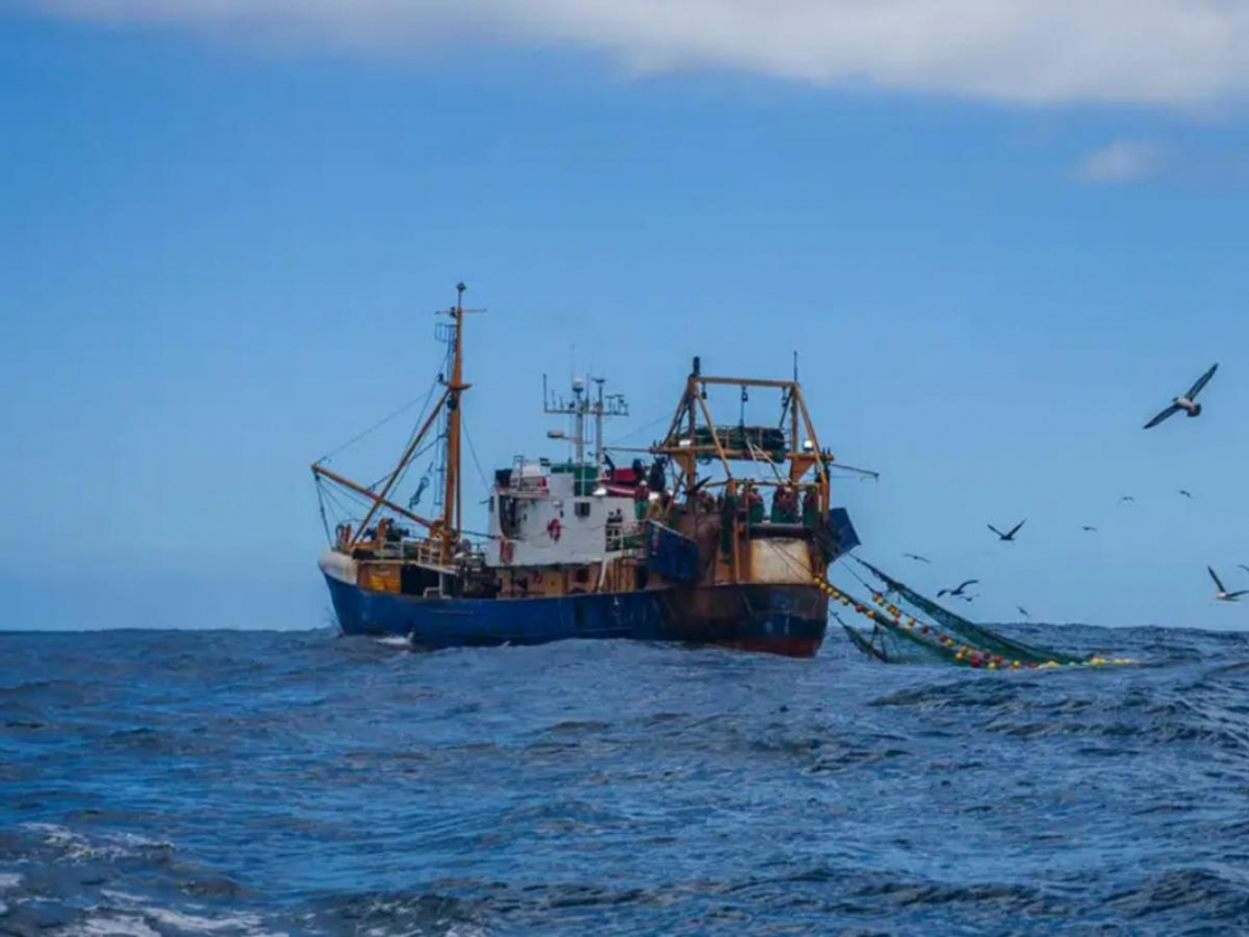 公海條約正式生效！海洋也要有COP了，全球海洋保育將出現哪些改變？6大重點一次看
